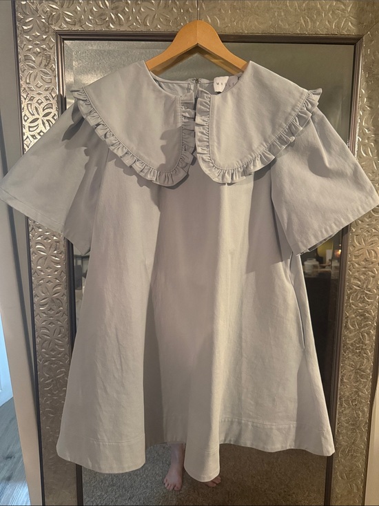 Mable Dresses & Skirts - MABLE Light Gray Ruffle Collar A-Line Mini Dress